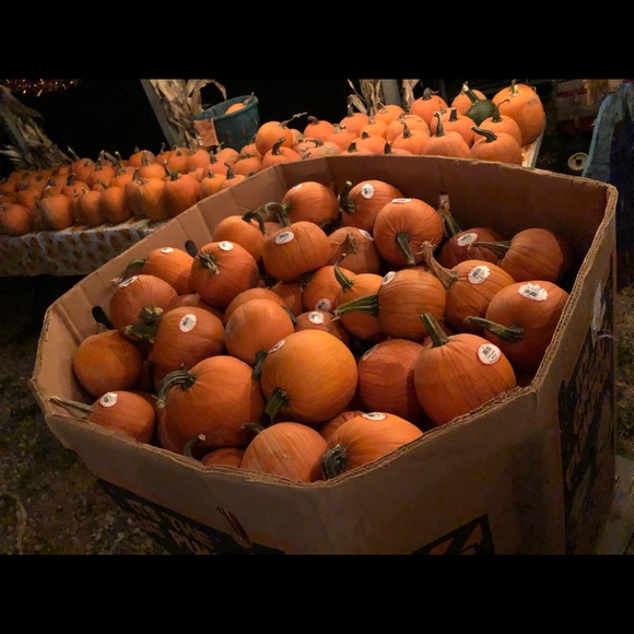 Meet your Posher, Brad - Picture 4 of 8